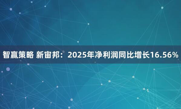 智赢策略 新宙邦：2025年净利润同比增长16.56%