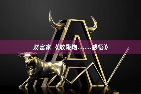 财富家 《放鞭炮……感悟》
